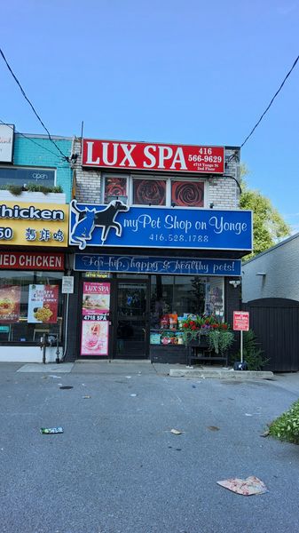 Massage Parlors Toronto, Ontario Lux Spa