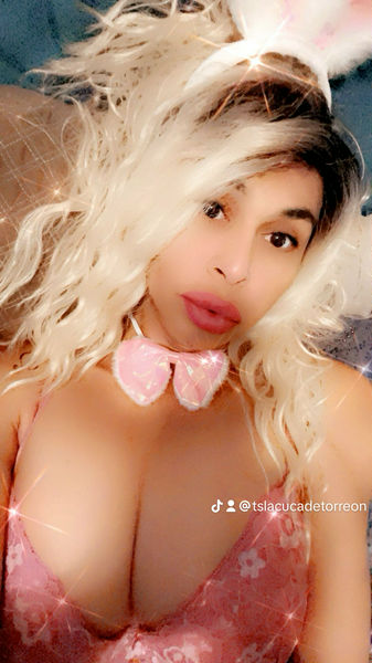 Escorts San Antonio, Texas TS KARINA (SATX)