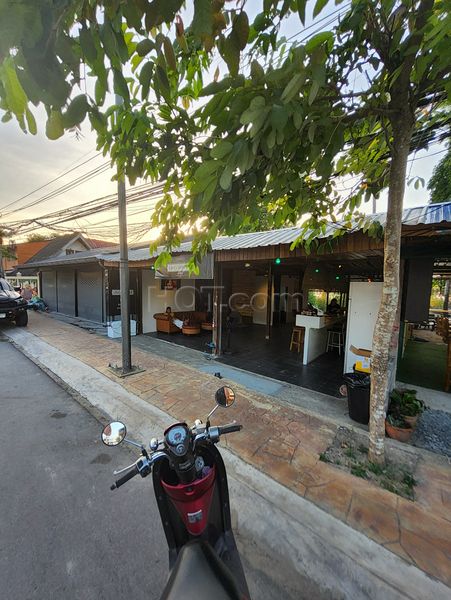 Beer Bar / Go-Go Bar Ko Samui, Thailand Grasshopper