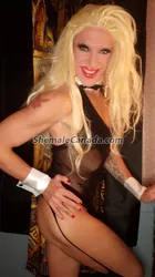 Escorts Halifax, Nova Scotia Sexxxsidebbie