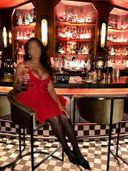 Escorts Chicago, Illinois The Velvet Muse