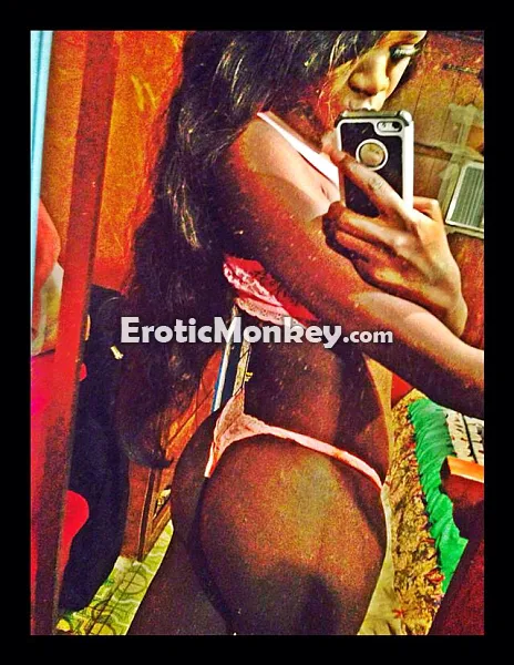 Escorts San Jose, California Michelle