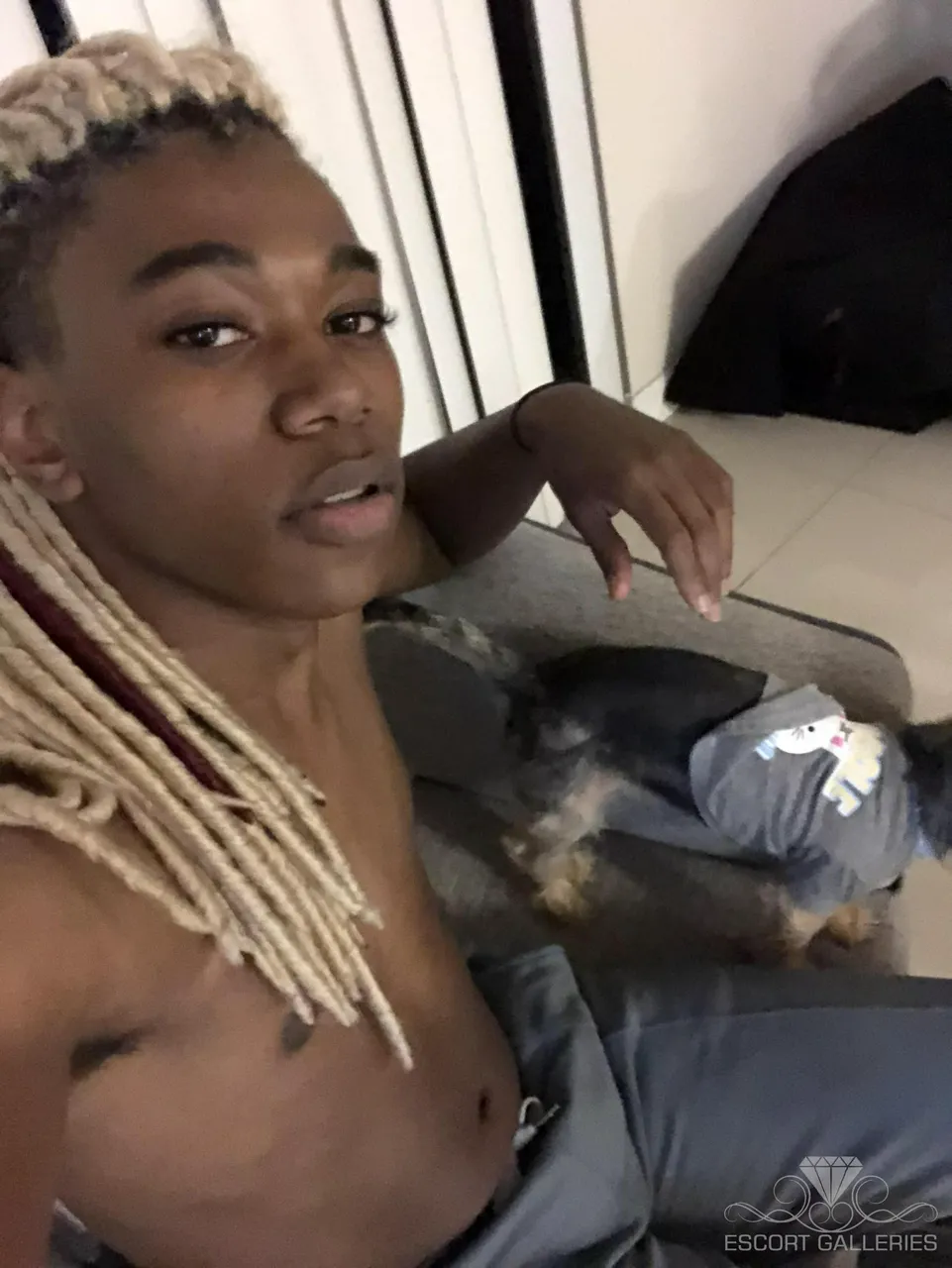 Escorts Fort Lauderdale, Florida Prince Scales