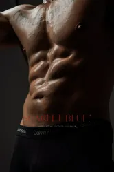 Escorts Melbourne, Australia Axel Meridius - male Escort 


