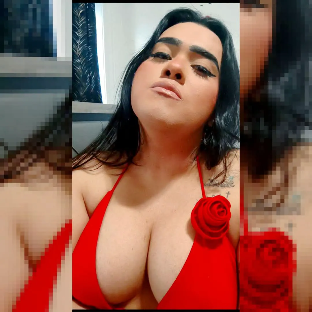 Escorts Raleigh, North Carolina Stefany8585