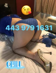 Escorts Raleigh, North Carolina Raleigh NC