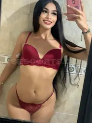 Escorts Medellin, Colombia Muñequita sexy