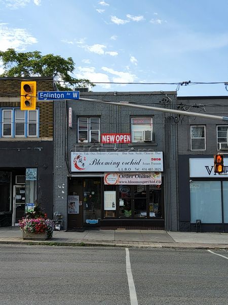 Massage Parlors Toronto, Ontario V Spa