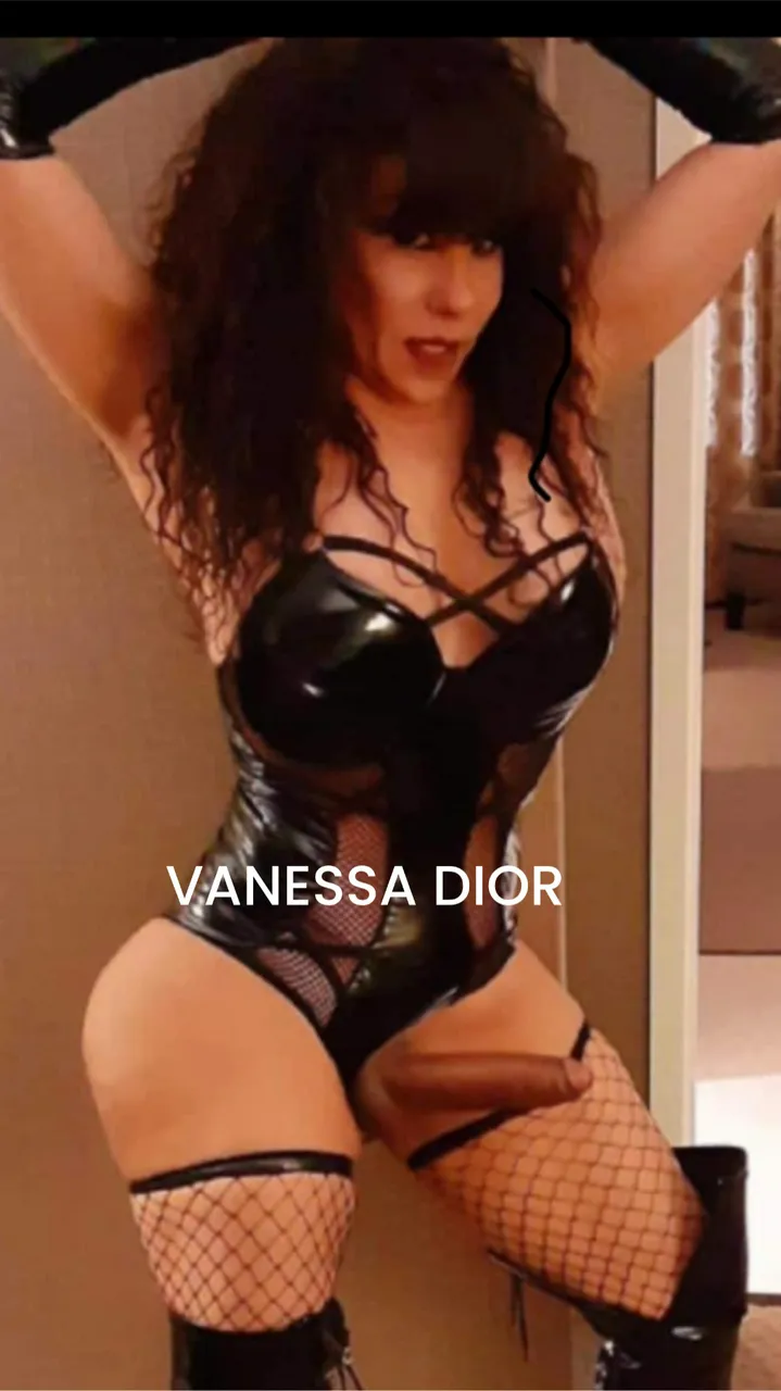 Escorts Chicago, Illinois SCHAUMBURG NOW