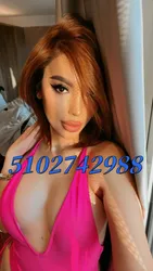 Escorts Irvine, California New Asian GREEK BBFS