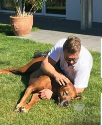 Escorts Germany null