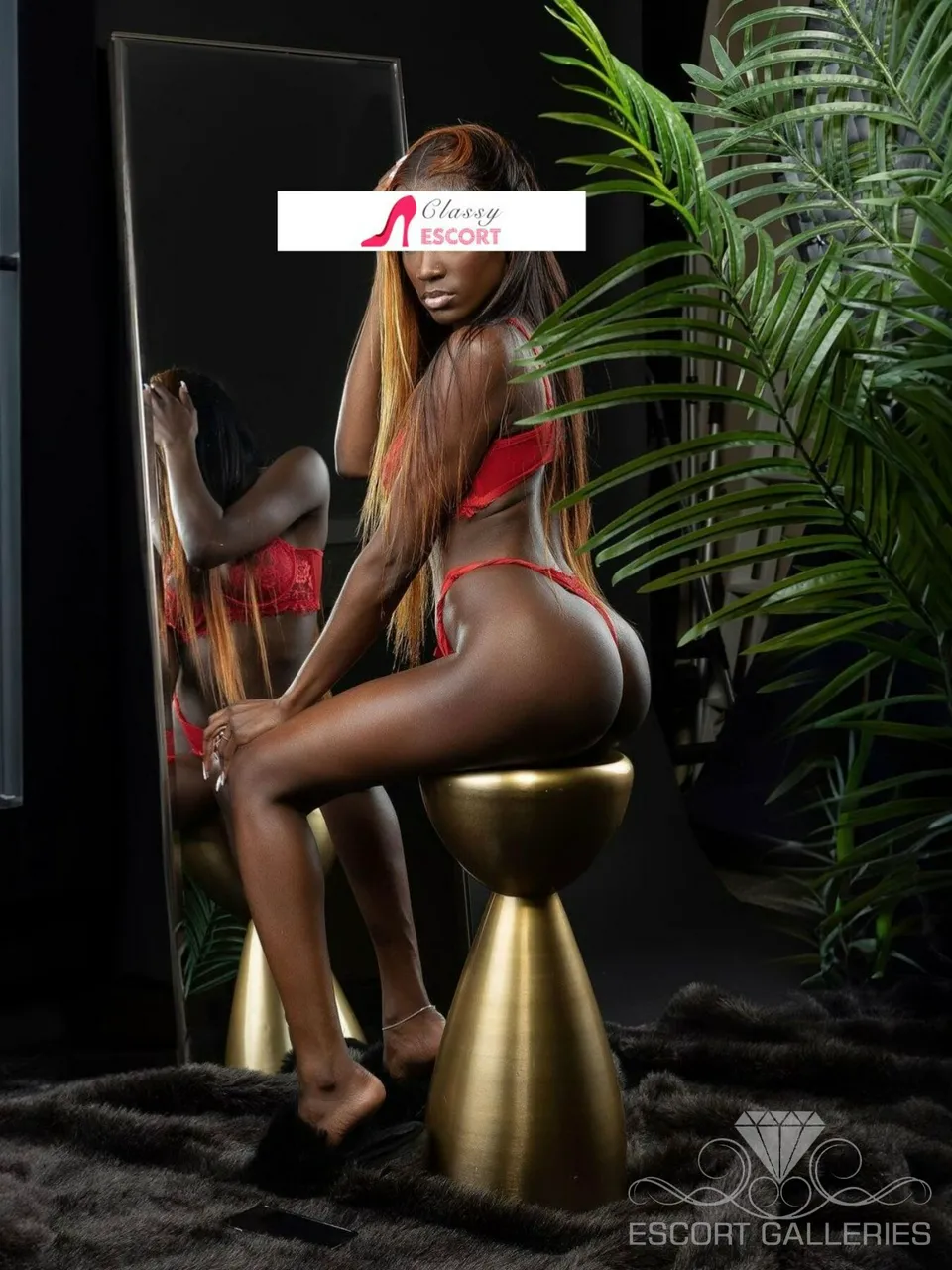 Escorts Hamburg, Germany null