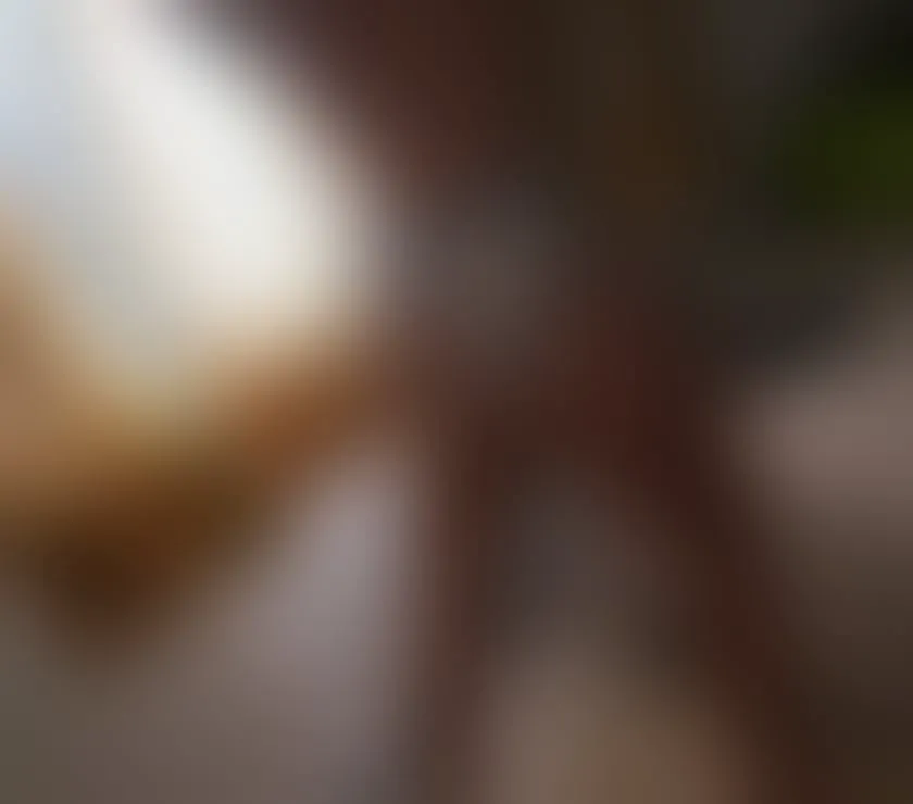 Escorts Blackpool, England Available only for private Outcall