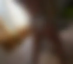 Escorts Blackpool, England Available only for private Outcall