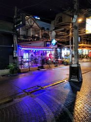 Beer Bar Pattaya, Thailand Blue Goose Bar