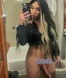 Escorts Hollywood, California Brooklyn Diaz FT 📲✅
