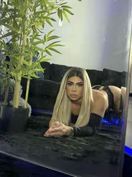 Escorts Atlanta, Georgia Waleska-Norcross