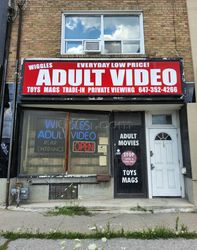 Etobicoke, Ontario Wiggles Adult Video