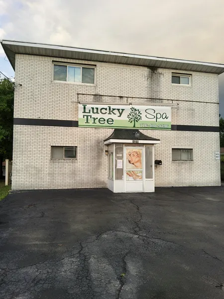 Massage Parlors North Tonawanda, New York Lucky Tree Spa