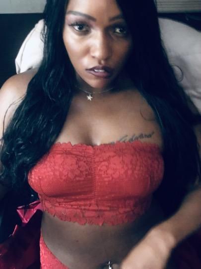 Escorts Springfield, Massachusetts CocoaTheBlackbunnyhott .Exotic Ebony Vixen (Metcalf) -