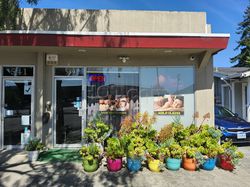 Massage Parlors Sunnyvale, California Star Thai Massage
