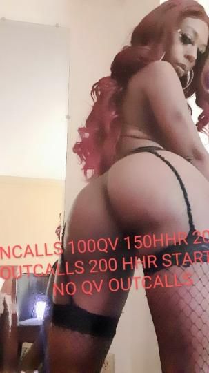 Escorts Little Rock, Arkansas NO TEXTING PLEASE ❗❗CALLS ONLY OR YOU WILL BE IGNORED❗❗GODIVA'S COCO EXPERIENCE 💋💋 INCALLS AND OUTCALLS❗DONATIONS FOR MY TIME ARE IN MY AD AND PIC GALLERY💐💐NO BLACK GUYS UNDER 30 ❗❗
