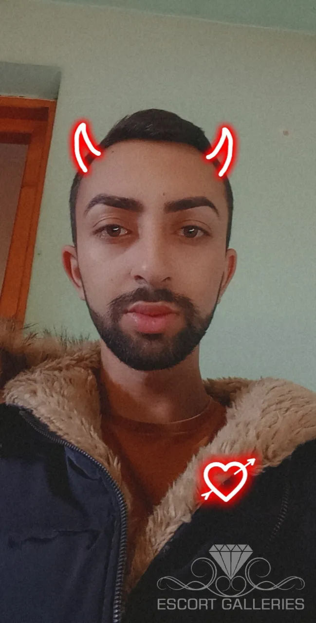 Escorts Halle (Saale), Germany Madalin  20