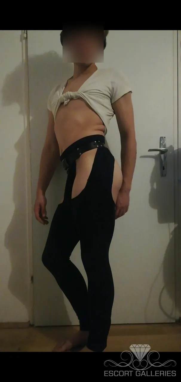 Escorts Vienna, Austria fabian